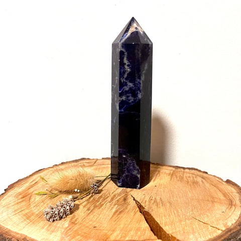 Sodalite Tower – a polished sodalite tower crystal with deep blue and white tones, known for clarity, calm, communication, and balance.