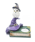 Resin owl candle holder with purple witch’s hat and book base, symbolizing wisdom, intuition, and spiritual connection in Wicca. Holds a tealight candle.